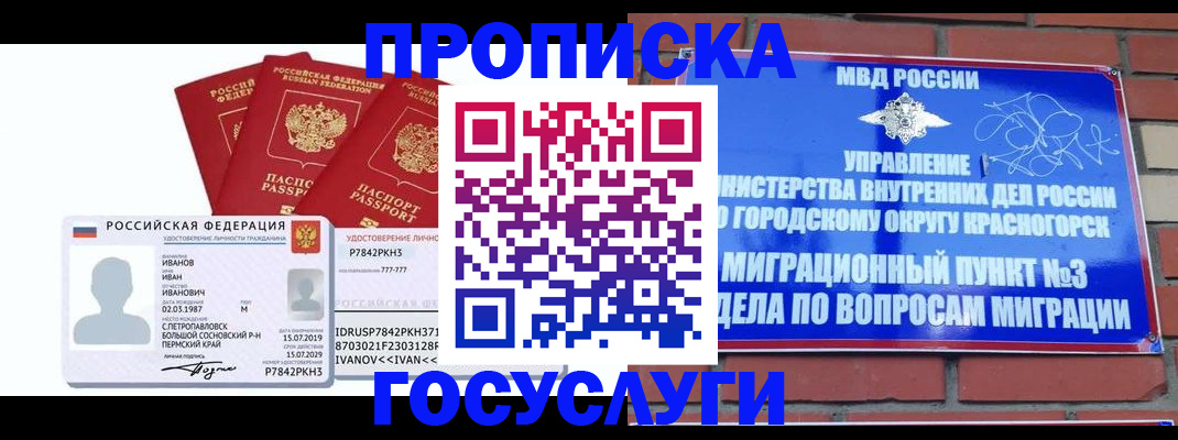 временная регистрация поиск в Петропавловске-Камчатском